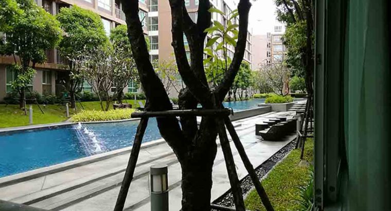 Fully Furnished Studio at DCondo Mine